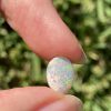 Solid crystal opal 1.9 ct